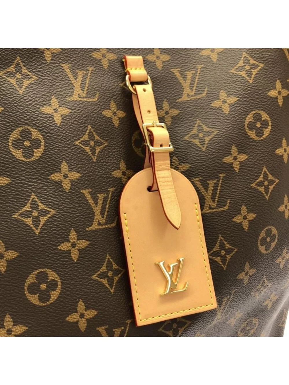 Louis Vuitton Monogram Atlantis GM